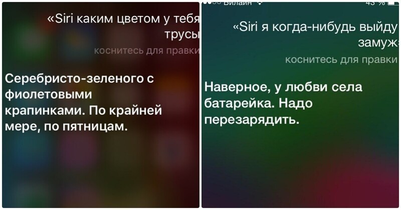 Сири лучше. Робот сири. Анекдот про сири. Сири про друзей. Приколы про Алису и сири.