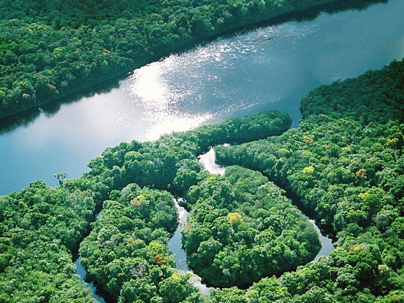 Амазонка, у истоков легенды (29 фото + 1 видео)