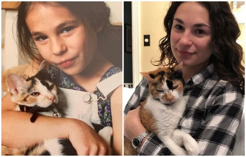 До и после: 35 трогательных фото о том, как быстро растут наши кошки (36 фото)