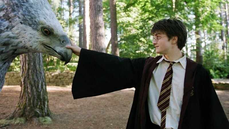 25 фактов о мире Гарри Поттера, которые знает настоящий фанат (26 фото)