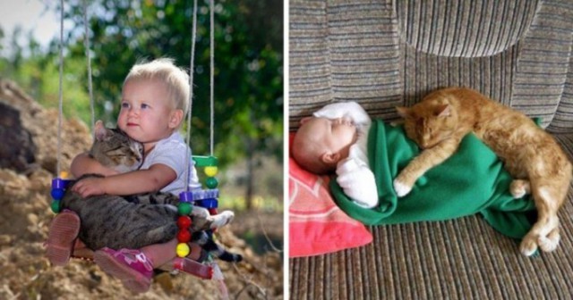 Это милые фото доказывают, что каждому ребенку нужна кошка (11 фото)