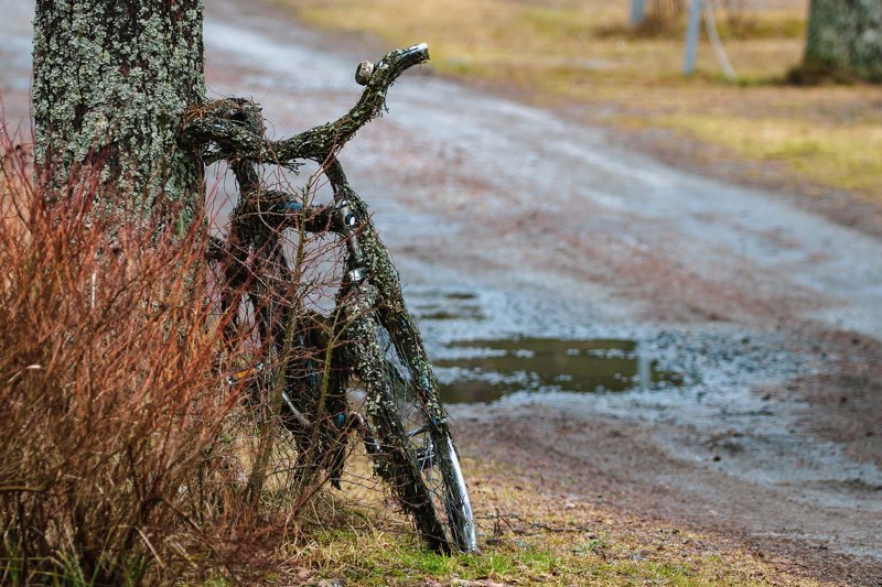Велосипеды, которые уже никуда не поедут (40 фото)