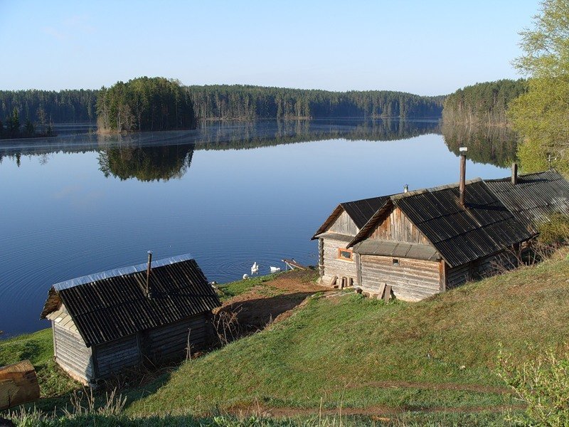 Село доски. Деревня на позитиве. Сельский позитив. Белый ров деревня рыбки. Мер деревни рыбки.