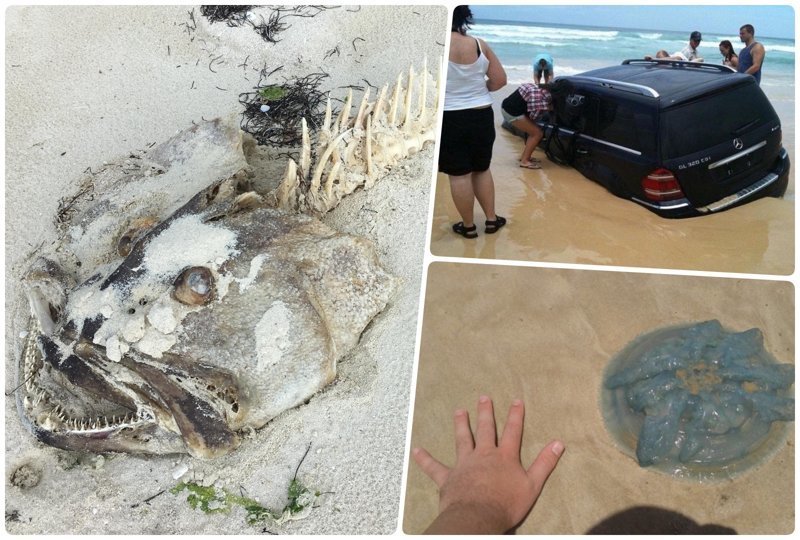 20 чумовых находок, которые люди случайно обнаружили на пляже (18 фото)