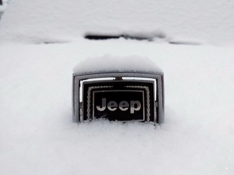 Jeep    (30)